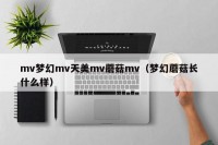 mv梦幻mv天美mv蘑菇mv（梦幻蘑菇长什么样）